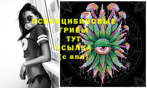 Альфа ПВП Мегион
