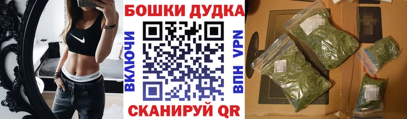 Купить где  Алзамай  Бошки Шишки THC 21% 